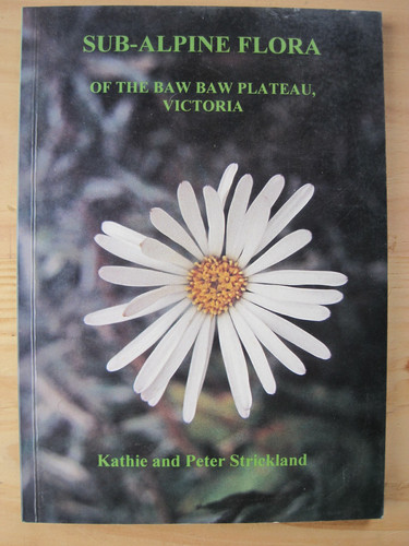 Sub alpine flora - flora, baw
