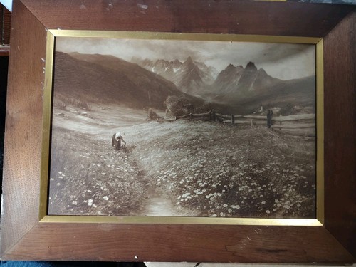 Antique autotype carbon - antique,